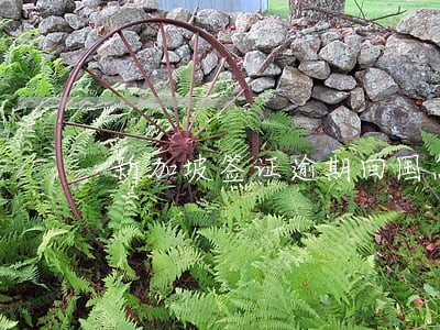 新加坡签证逾期回国怎么办 新加坡签证逾期回国怎么办