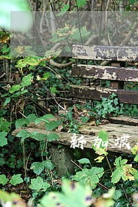 新加坡签证逾期逗留有什么后果
