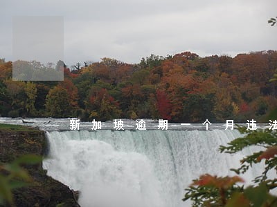 新加坡逾期一个月违法吗 新加坡逾期一个月违法吗