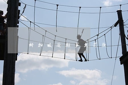 新加坡逾期多久罚款 新加坡逾期多久罚款
