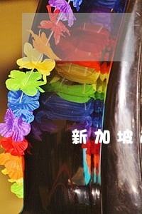 新加坡逾期滞留后果 新加坡逾期滞留后果