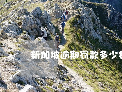 新加坡逾期罚款多少钱 新加坡逾期罚款多少钱