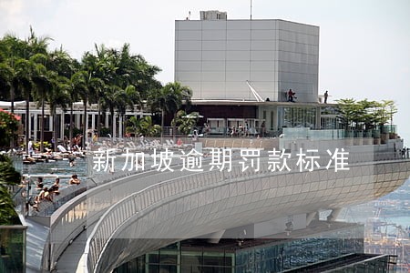 新加坡逾期罚款标准 新加坡逾期罚款标准