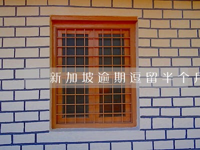 新加坡逾期逗留半个月罚款多少 新加坡逾期逗留半个月罚款多少