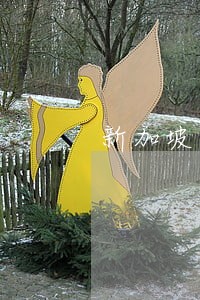新加坡逾期逗留半年 新加坡逾期逗留半年