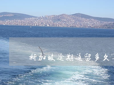 新加坡逾期逗留多久算违法 新加坡逾期逗留多久算违法