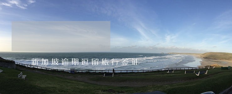 新加坡逾期逗留旅行签证 新加坡逾期逗留旅行签证