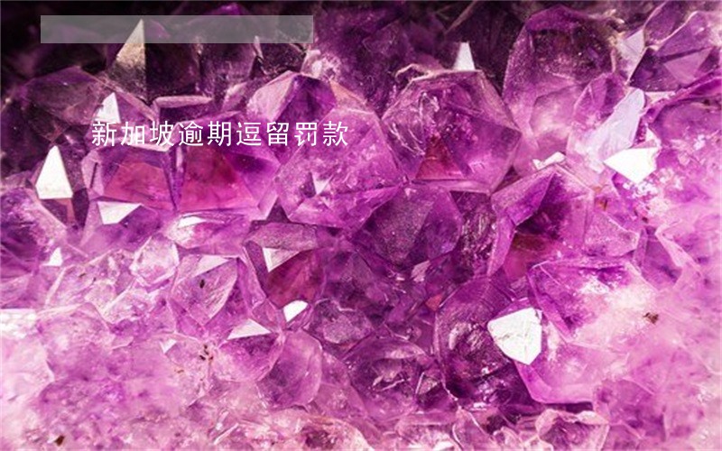 新加坡逾期逗留罚款 新加坡逾期逗留罚款