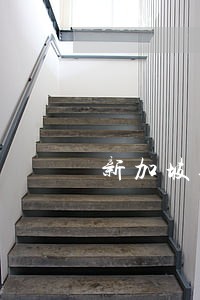 新加坡逾期逗留超半年 新加坡逾期逗留超半年