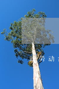 新劳动合同法下劳资关系 新劳动合同法下劳资关系