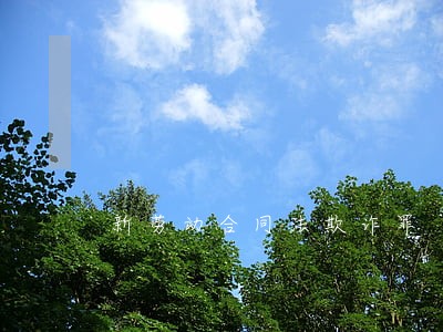 新劳动合同法欺诈罪