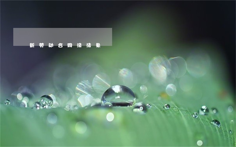 新劳动合同法法条 新劳动合同法法条