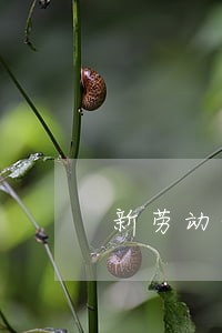 新劳动合同法计算 新劳动合同法计算