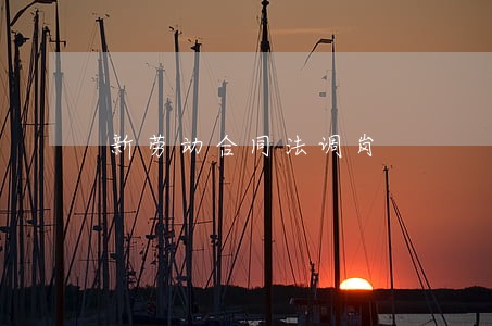 新劳动合同法调岗 新劳动合同法调岗
