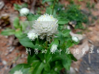 新劳动法中雇佣童工的法律规定 新劳动法中雇佣童工的法律规定