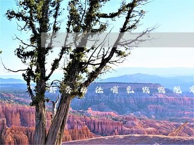 新劳动法哺乳假假规定是什么呢 新劳动法哺乳假假规定是什么呢