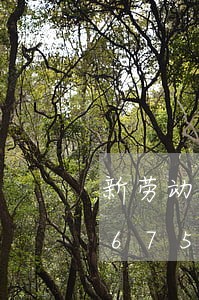 新劳动法孕妇拒绝调岗/2023021067509 新劳动法孕妇拒绝调岗/2023021067509