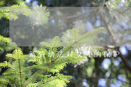 新劳动法对女性的保护 新劳动法对女性的保护