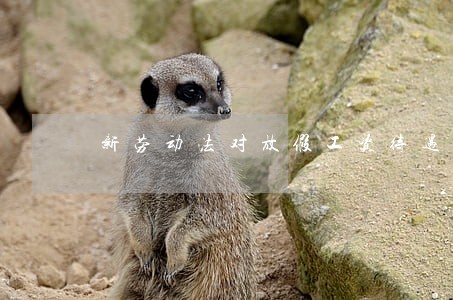 新劳动法对放假工资待遇 新劳动法对放假工资待遇