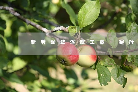 新劳动法派遣工意義是什么 新劳动法派遣工意義是什么