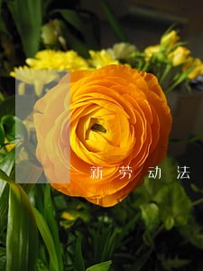 新劳动法病假工资怎么算工资吗 新劳动法病假工资怎么算工资吗