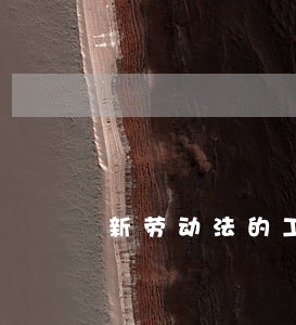 新劳动法的工作时间 新劳动法的工作时间