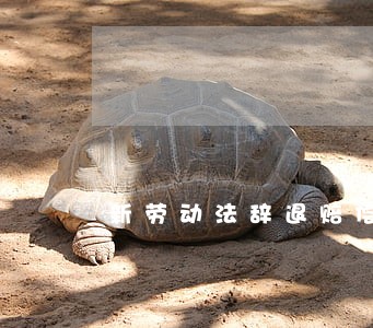 新劳动法辞退赔偿双倍 新劳动法辞退赔偿双倍