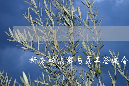 新劳动法需与员工签定合同 新劳动法需与员工签定合同