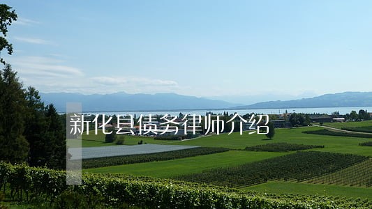 新化县债务律师介绍
