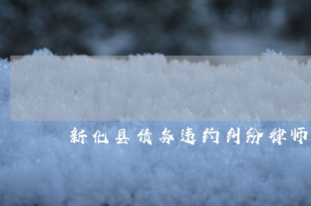 新化县债务违约纠纷律师介绍 新化县债务违约纠纷律师介绍