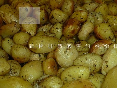 新化县债务违约纠纷律师费用标准 新化县债务违约纠纷律师费用标准