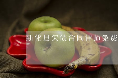 新化县欠债合同律师免费咨询 新化县欠债合同律师免费咨询