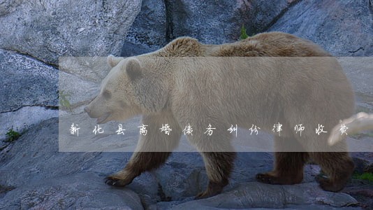 新化县离婚债务纠纷律师收费 新化县离婚债务纠纷律师收费