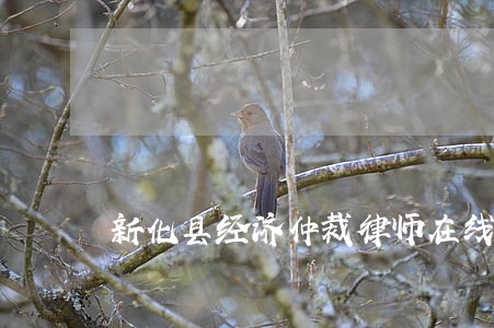 新化县经济仲裁律师在线免费咨询 新化县经济仲裁律师在线免费咨询