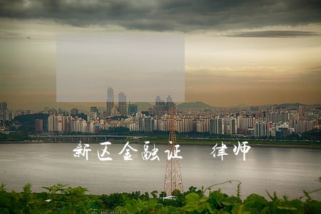 新区金融证劵律师 新区金融证劵律师