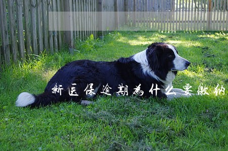 新医保逾期为什么要缴纳710 新医保逾期为什么要缴纳710