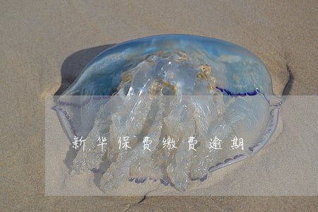 新华保费缴费逾期 新华保费缴费逾期