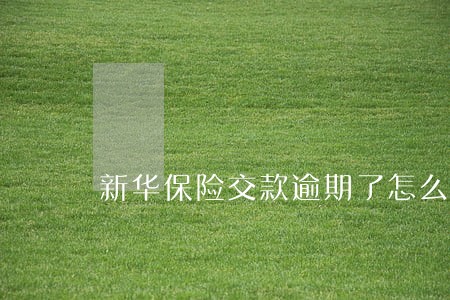 新华保险交款逾期了怎么办 新华保险交款逾期了怎么办