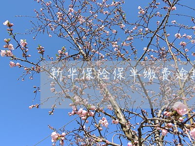 新华保险保单缴费逾期 新华保险保单缴费逾期