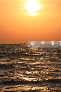 新华保险保单贷款逾期怎么处理 新华保险保单贷款逾期怎么处理