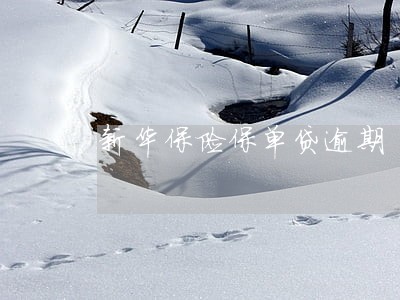 新华保险保单贷逾期 新华保险保单贷逾期