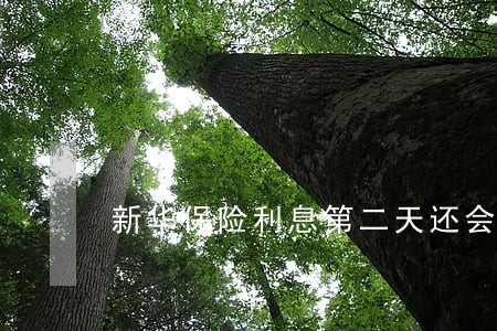 新华保险利息第二天还会逾期吗 新华保险利息第二天还会逾期吗