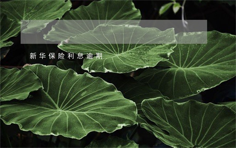 新华保险利息逾期 新华保险利息逾期