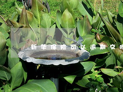 新华保险可以逾期交吗 新华保险可以逾期交吗