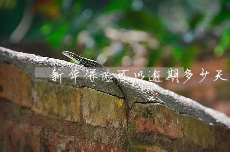 新华保险可以逾期多少天