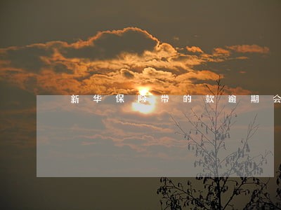 新华保险带的款逾期会上征信吗 新华保险带的款逾期会上征信吗