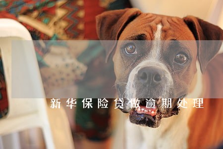 新华保险贷做逾期处理