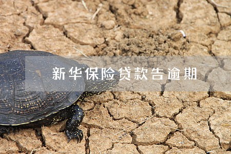 新华保险贷款告逾期 新华保险贷款告逾期