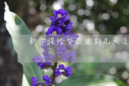 新华保险贷款逾期几天没事吧