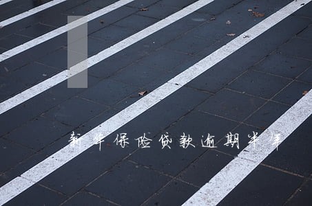新华保险贷款逾期半年 新华保险贷款逾期半年